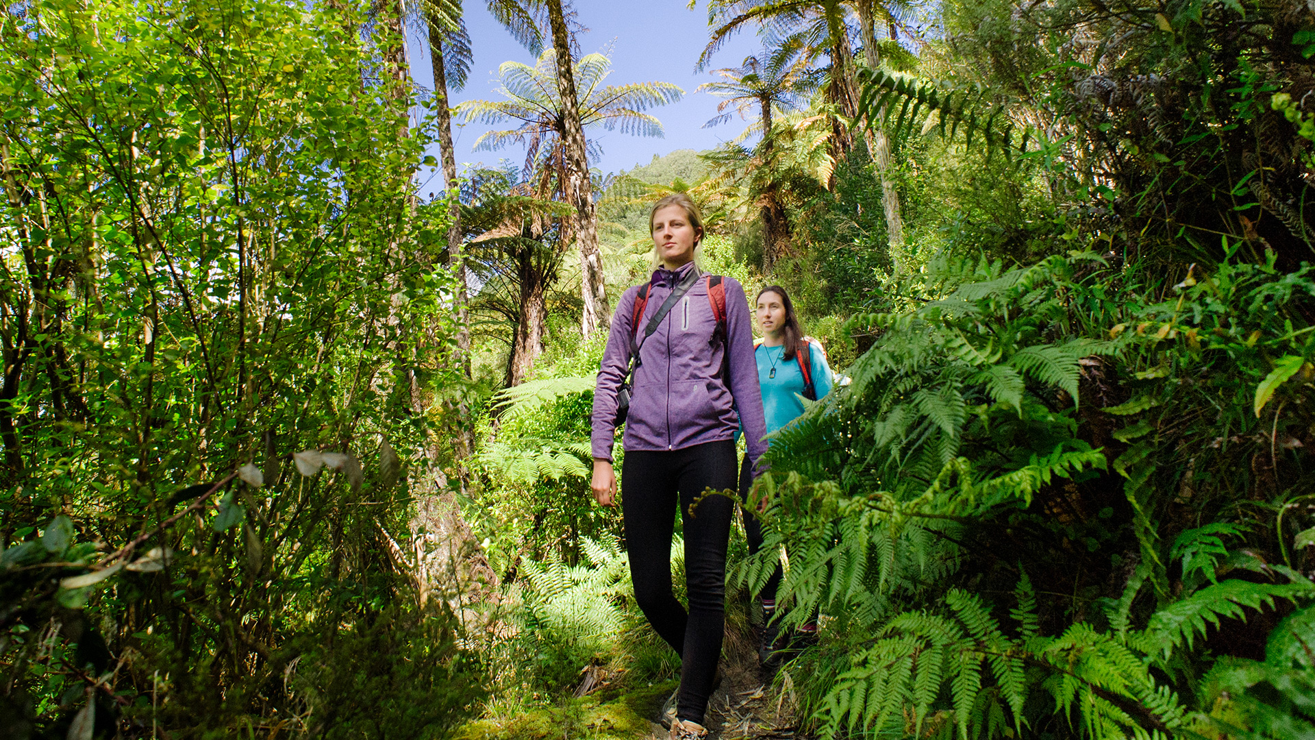Walking and hiking in the Lake Tarawera area Walking and hiking in the Lake Tarawera area