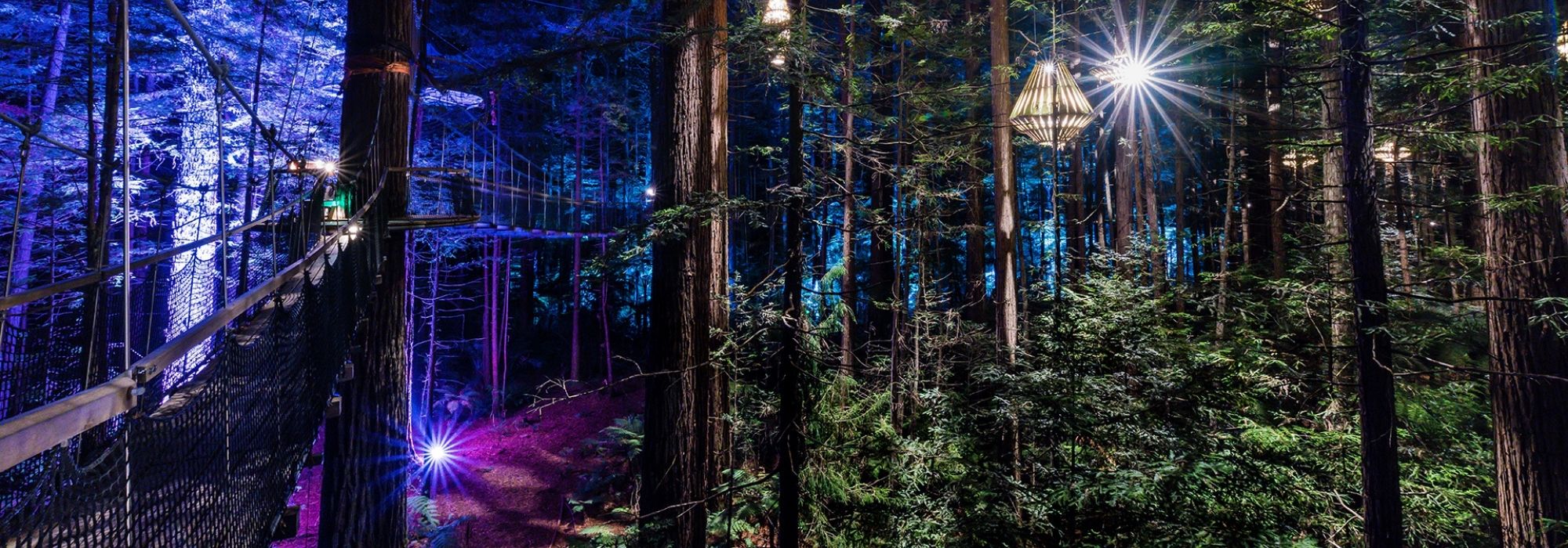 Lonely Planet names Redwoods Nightlights number 2 in the world Lonely Planet names Redwoods Nightlights number 2 in the world
